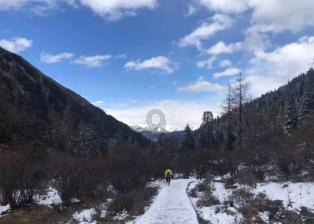 春雨直播app